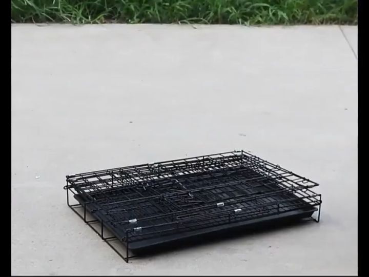 Dog cage for sale lazada best sale