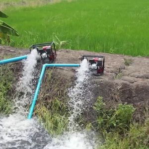 VERGIN เครื่องสูบน้ำ 7.5 - 8.5 แรง 2-3  นิ้ว  ดูดลึก ส่งไกล900+ เมตร ดูดลึก 12 เมตร ส่งสูง 28 เมตร รุ่น 1 ใบพัด (มาตราฐานญี่ปุ่น)