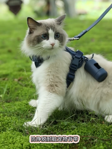 【Dream Pet Family】 1 Piece Breathable Neoprene No Pull Dog Harness