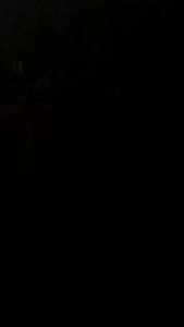 Nước rửa chén Revy - Sạch nhanh chén đĩa khử mùi khử khuẩn hương thơm dễ chịu - Dung tích 400g 800g 3.8kg | Trường Dương Store