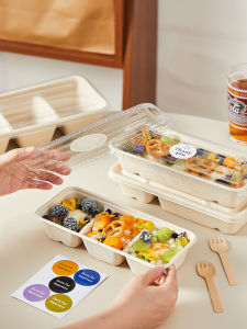 Disposable Fruit Packing Box Picnic Lunch Box Double Grid Lightweight Ice Cream Yogurt Separator Box Eco-Friendly Rectangular Shape