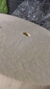 Bánh nỷ trắng lông cừu chuyên đánh bóng inox- bánh nỷ 2 tất 3 tất - bánh nỷ trắng