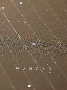 WANGXO | Bộ Áo Camisole Không T Tay Bóng Sọc Bạc và Quần Ống Rộng