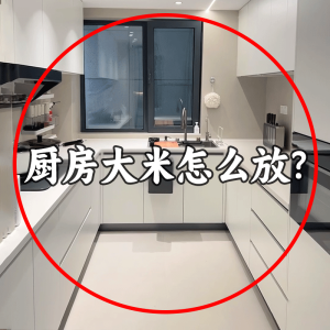 Kitchen Rice Bucket Sealable Anti-Bug Moisture-Proof Plastic Rice Storage Container Button Type Home Use Food Grade Pasta Basin Rack