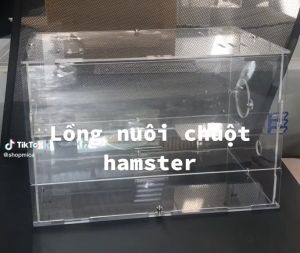 Hộp nuôi chuột Hamster mica trong 1 tầng