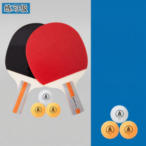 deli | Beginner-friendly Professional Grade 3 Star Ping Pong Racket Horizontal Grip