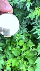 Survival Compass Pocket Size Waterproof Camping Hiking Marine Luminous Compass