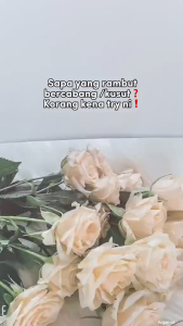 Serum Hair Tonic Rambut LAIKOU MOROCCO / Vitamin Rambut Kering Kusam dan Bercabang