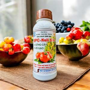 SPC-KALI SILIC giúp cứng câyvô gạo