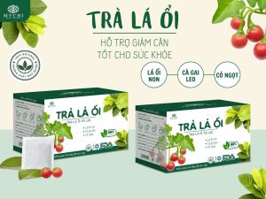 TRÀ TÚI LỌC LÁ ỔI GIẢM CÂNDỂ UỐNG