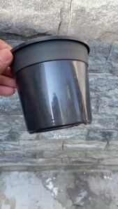 Chậu Nhựa Cứng 12X11 (Cm) Thakico Màu Đen