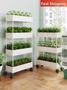 evesigar | Multi-level Movable Vegetable Planting Rack