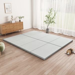 Floor Mattress For Sleeping Floor Sleeping Mat Tatami Mattress Floor Bed Double-Sided Foldable Removable and Washable Mattress 榻榻米