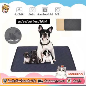 คุ้มข่าวกับคอมพิวเตอร์รวดเร็ว แผ่นปัสสาวะสุนัขที่ใช้งานได้จริง คุณสมบัติอย่างแผ่น ซักเครื่องได้ ดูดซึมที่ดี ลดความซับ ซับ กันลื่น ดูดขนาดใหญ่