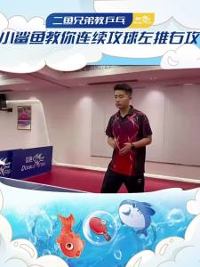 Double Fish | Bộ Vợt Bóng Bàn Chuyên Nghiệp 9 Sao Cao Su Nhảy Cao Dành Cho Trẻ Em