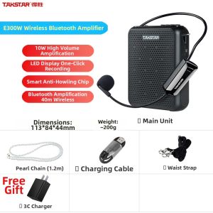 Teacher Professional Wireless Ear Microphone Amplifier Takstar Small Bee E300W for Teaching Lectures High Quality Sound System