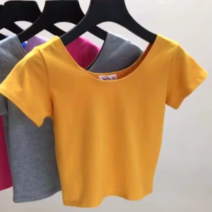 Áo phông nữ thun cotton croptop chất đẹp dáng ôm body cộc tay ngắn Hàn quốc cao cấp sang chảnh mềm mịn thoáng khí AP1