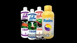 Vi sinh nước SL-Aqua Purify Nitrifying Bacteria can 4000 ml xử lý làm trong nước diệt sán thủy tức bể cá tép thủy sinh