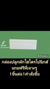 กล่องแช่อาหารทะเลและกล่องปลูกผักไฮโดรโปนิกส์ น้ำนิ่งราคาประหยัด ความจุ 10 กิโล ทรงแบน แถม ที่เจาะกล่องโฟม 1 คำสั่งซื้อต่อ 1 ชิ้น