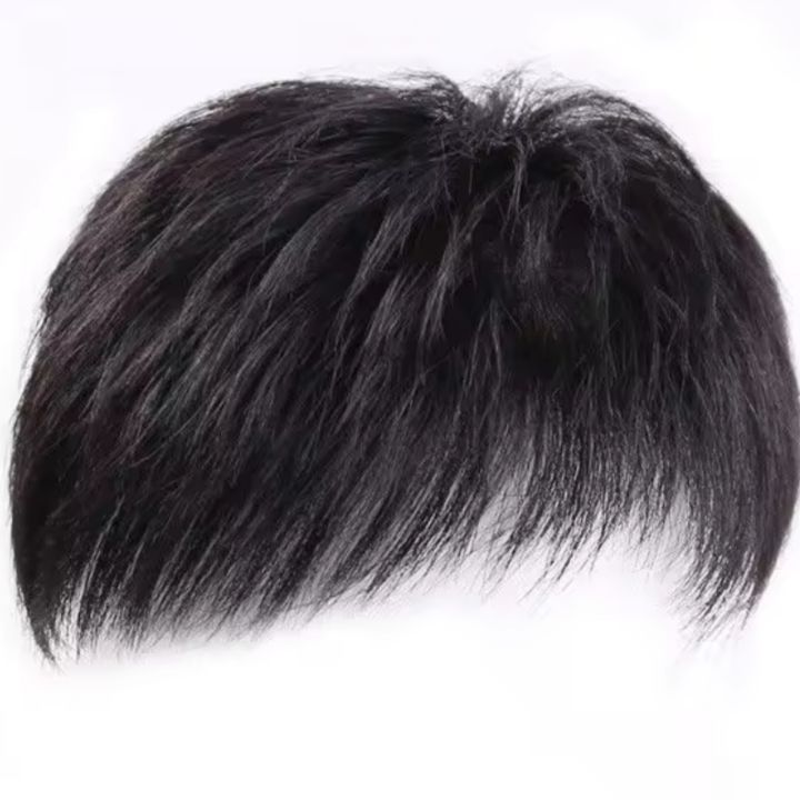 Toupee Pria Hairclip Pria Wig Pria Rambut Palsu Pria Botak Rambut Sintetis  Lazada Indonesia