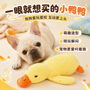 Đồ Chơi Gặm Bền Cho Chó Kêu Rít