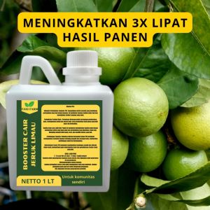 Pupuk Semprot Pelebat JERUK LIMAU Pupuk Pelebat JERUK LIMAU Pupuk Penyubur JERUK LIMAU ZPT
