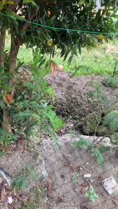 Jaring Pagar Ayam ukuran 2x15 Meter Lubang 2x2cm bisa untuk pagar ayam jaring kandang ayam dan pagar tanaman