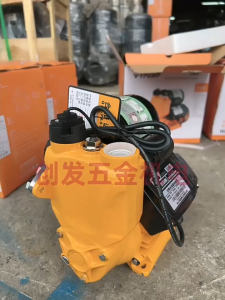 Water Pump 800W Self Priming Booster Pump Automatic Start Stop High Pressure Home Use