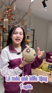 Hộp Quà Tết Dưa Giống Nhật Musk Melon - Klever Fruit