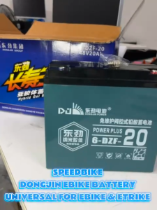 DongJin Power EBIKE Battery 12V 20AH & 48V 20AH Deep Cycle Lead Acid Long Endurance Sealed Maintenance Free Battery for Electric Bikes Scooters Tricycles