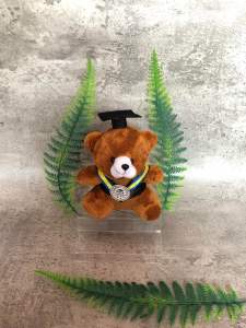 Boneka Teddy Bear 15cm Wisuda Murah Bekasi - Berwarna Coklat Kuning Putih Biru - Dilengkapi Topi Wisuda