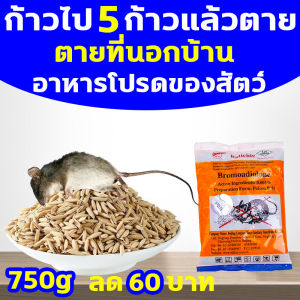 1 ครูหนู RATICIDE ยาเบื่อ 750g ราคาลด 60บาท จดสิทธิบัตร สูตร ยาไล่หนู ยาฆ่าหนู ทำจากข้าวสาลี อาหารที่หนูชอบที่สุด ไม่มีหนูภายใน 500 ตารางเมตร ปลอดภัย ใช้ง่าย ตายจริง รักษาสิ่งแวดล้อม ยาไล่หนูบ้าน ยากำจัดหนู ยาเบื่อหนูแห้ง