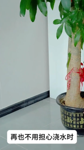 Khay Đỡ Chậu Hoa Thoáng Khí Có Bánh Xe - Đế Bánh Xe Di Chuyển Tiện Lợi
