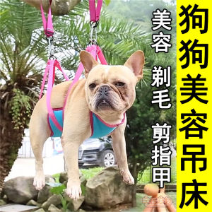 Chải Lông Cho Chó Cắt Tóc Cắt Tỉa Móng Tay Thú Cưng Cố Định Đứng Túi Treo Dụng Cụ Cần Thiết Cho Chó Chăm Sóc Sắc Đẹp Chó Bấm Móng Tay