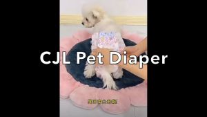 P&C Pet Dog Cat Strong Absorbent Disposable Diapers Male Female Manner Belt Cat Diaper Lampin Kucing Anjing 宠物猫狗尿布尿片