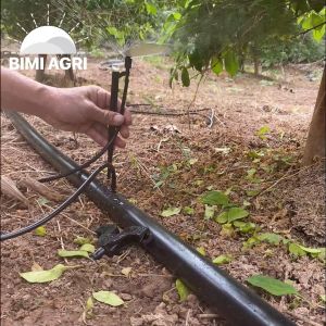 Combo Que cắm 30 cm + cây đục lỗ