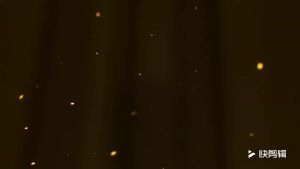 💗🙋‍♀️💗跨境磁力动物方阵棋儿童玩具逻辑思维训练进阶游戏益智闯关桌游