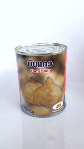 เมล็ดพันธุ์มันแกว ตราภูเขาทอง กระป๋อง 40กรัม ปลูกง่าย งอกดี