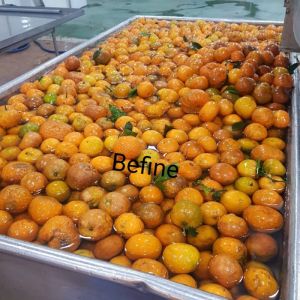 Tinh dầu cam Befine cao cấp- Tinh dầu nguyên chất an toàn kèm bản kiểm nghiệm GCMS