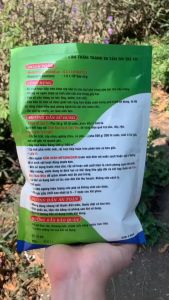 Nấm Xanh Metarhizium - Nấm Ký Sinh Phòng Trừ Rệp Sáp Và Côn Trùng Gây Hại