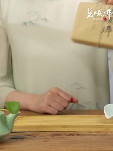 Biluo | Authentic Suzhou Biluochun Special Rain Before Green Tea 200g