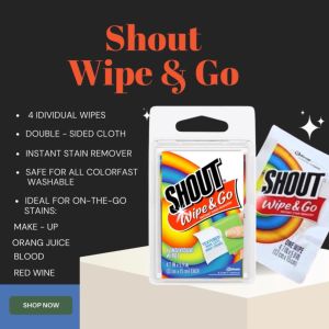 SHOUT WIPE AND GO INSTANT STAIN REMOVER 4 IDIVIDUAL WIPES
