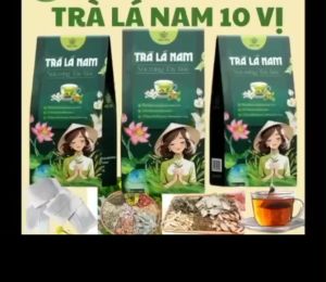 Combo 4 Hộp Trà Lá Nam kết Hợp Lá Sen Lá Ổi Phan Tả Diệp Cỏ Ngọt Chè Vằng (60 Gói/Hộp) -Hỗ Trợ Thanh Nhiệt Mát Gan