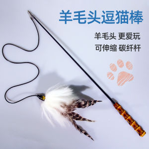 Extendable Durable Cat Toy Fishing Rod with Wool Feather Head Steel Wire Handle Interactive Toy for Kittens And Adult Cats