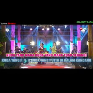 Terlaris !!! Flashdisk Sandisk Karaoke Full Dangdut Koplo 32 GB Isi 500 Video Lagu