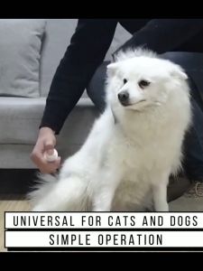 "🤞Malaysian spot🤞ubat kutu bulu kucing Mite buster effectively removes mites and prevents spores ubat kutu kucing flea medicine for cats ubat kuku kucing ubat kutu dan hama kucing cat flea 除螨喷雾剂 "