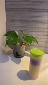 Gelas Plastik Murah 6 Pcs Gelas Plastik Pelangi 6 Set Gelas Plastik Rainbow Pelangi Gelas Minum Warna-Warni