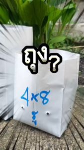 ถุงเพาะชำสีขาว ขนาด 8x16 นิ้ว จำนวน 10 กก. เจาะรู