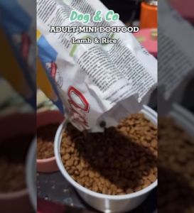 Dog & Co Wellness Adult Mini – Lamb & Rice Premium Dog Food 7kg Dog Foods Adult Dog Food for Adult Mini Dog Food And Treats Dog Food Dishes For Large Dogs - Lazada