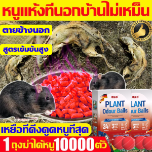 หนูได้กลิ่นจะวิ่งหนีไป ลูกเหม็นไล่หนู ที่ไล่หนู ยาพิษหนู ปลอดภัยไร้สารพิษ กำจัดหนู รวดเร็วและมีประสิทธิภาพ ยาไล่หนู เหมาะสำหรับบ้าน สำนักงาน รถยนต์ และสถานที่อื่น